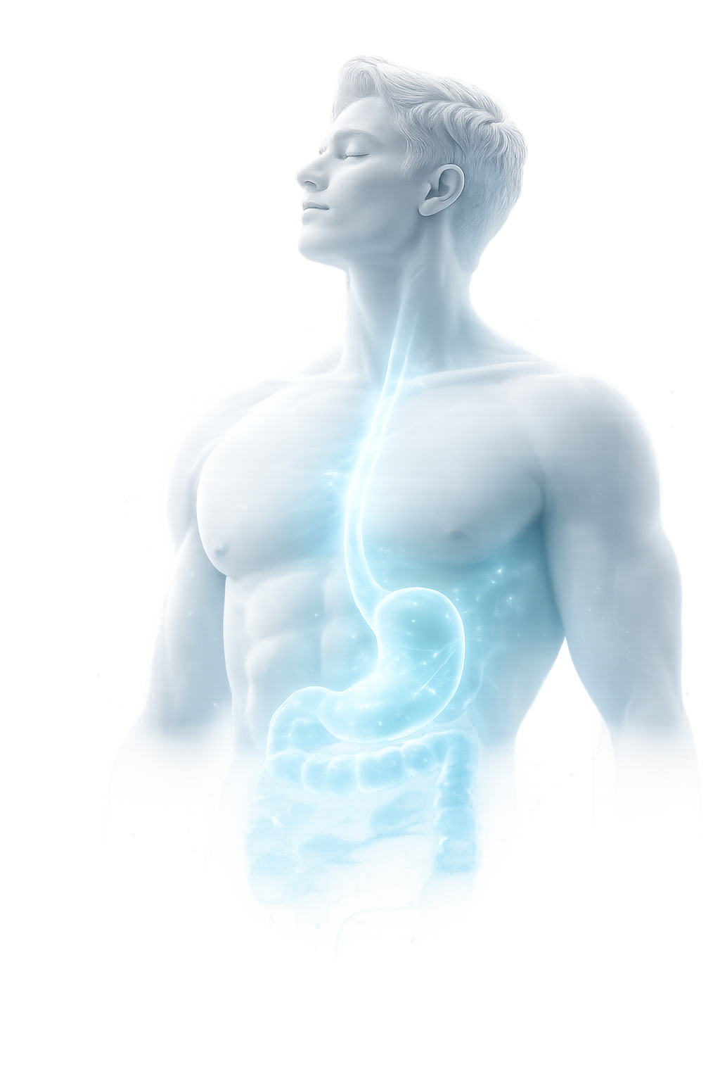 Metabolic Health