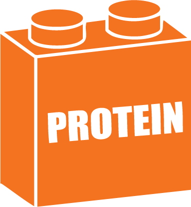 Protein